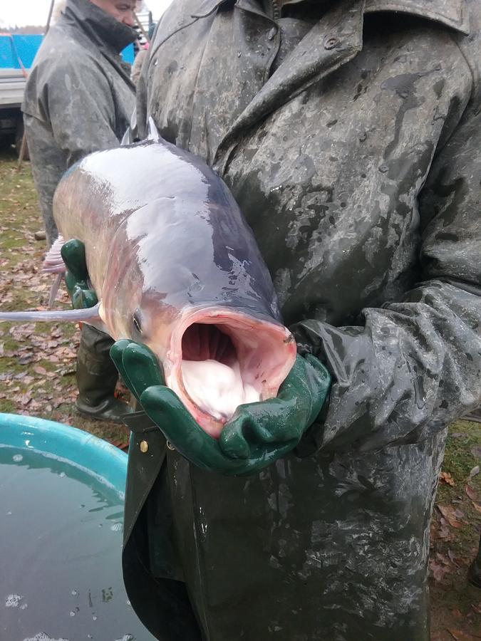 Penzion Pohoda Kvilda Bagian luar foto